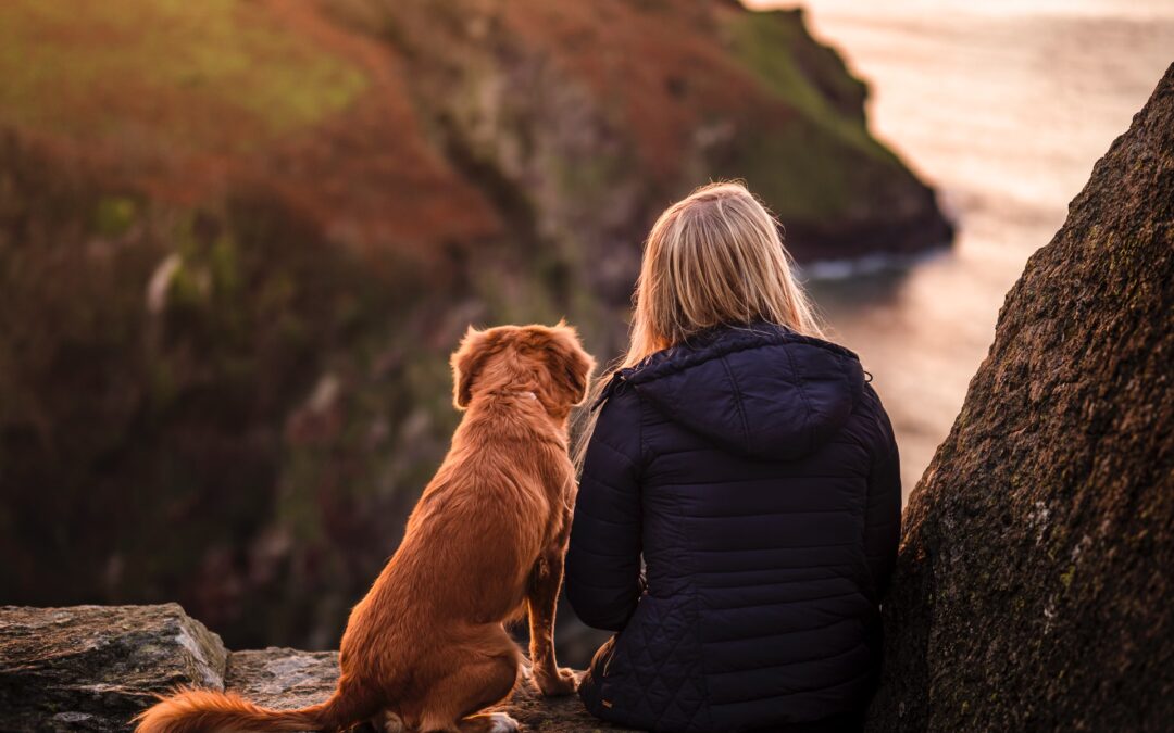A woman is overlooking the sea with a dog she is pet sitting at sunset